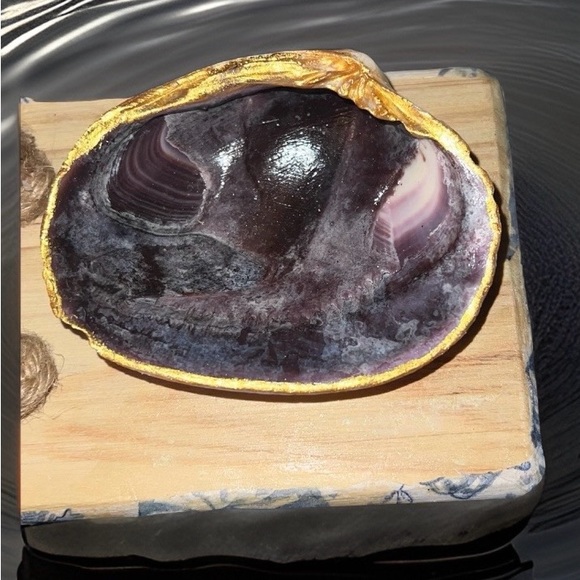 Beautiful Clam Shell Trimmed In Gold - Picture 2 of 2